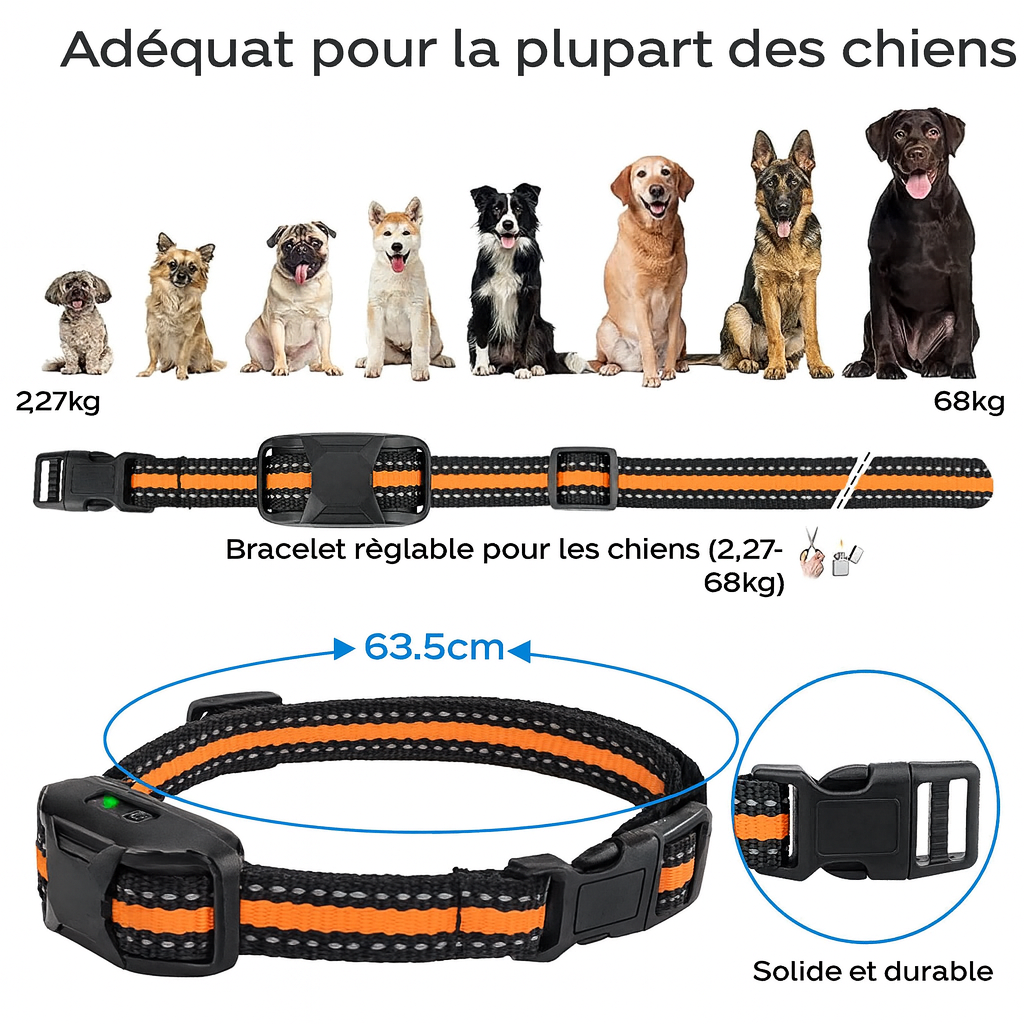 Collier anti aboiement, dressage chien télécommande 1000m mode bip vibration stimulation étanche IPX7 rechargeable