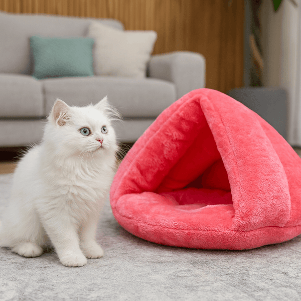 Nid Douillet pour Animaux