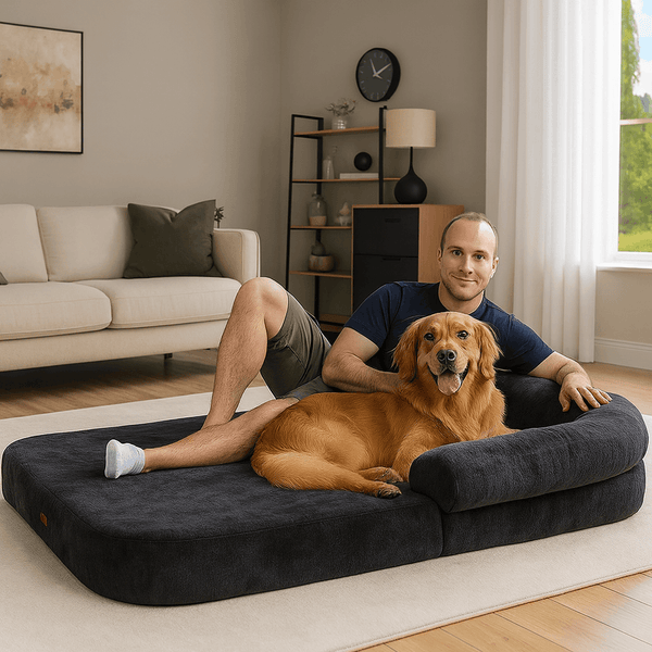 Canapé Douillet pour Chiens et Maîtres