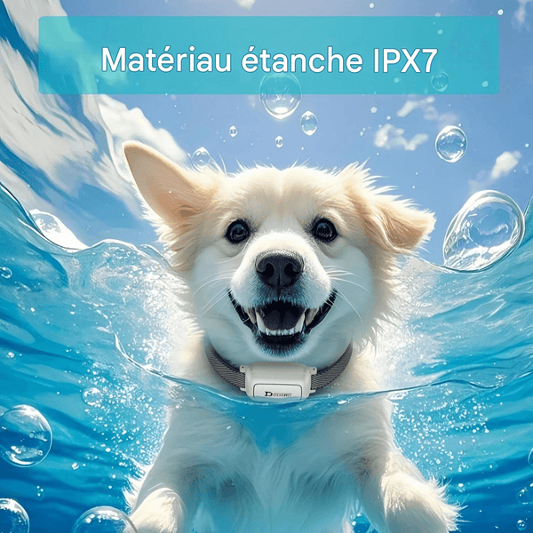 Collier Anti-aboiements Magique