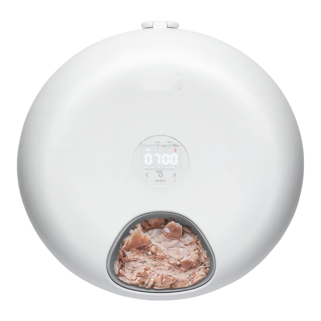 Distributeur de croquette chat chien automatique contrôle App wifi nourriture humide réfrigéré sans fils 6 repas